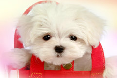 今天别忘了接财神:我接了!​ 为什么年初五是迎财神?